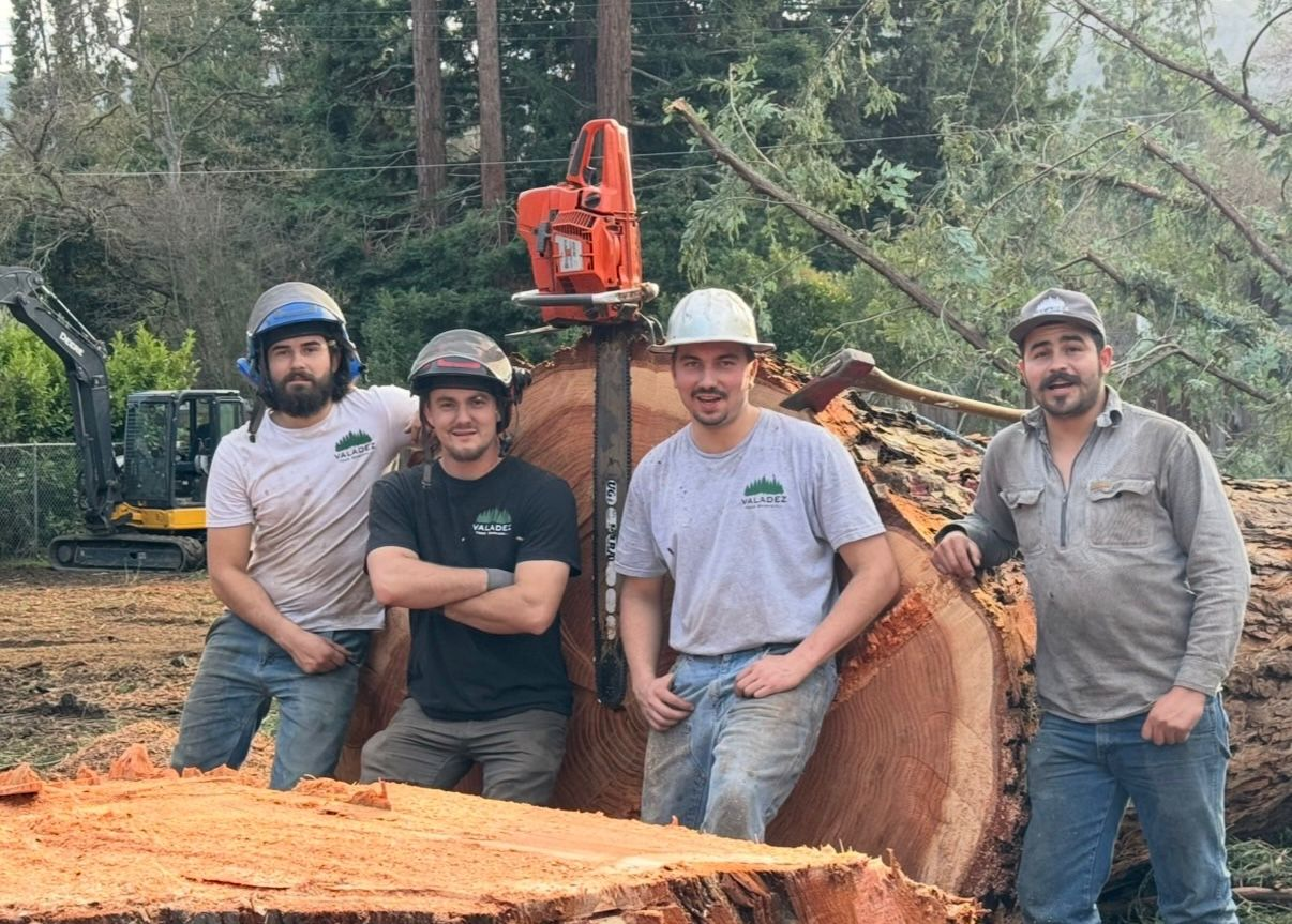 The Valadez Tree Service crew on site